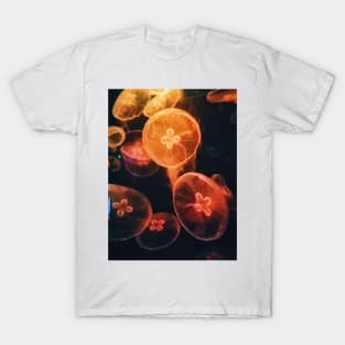 jellyfish, aquarium, fish, jellyfish aquarium, blue, jellyfish art, ocean, moon jellyfish, cute, animal, water, watercolor, jelly fish, sea, kawaii T-Shirt